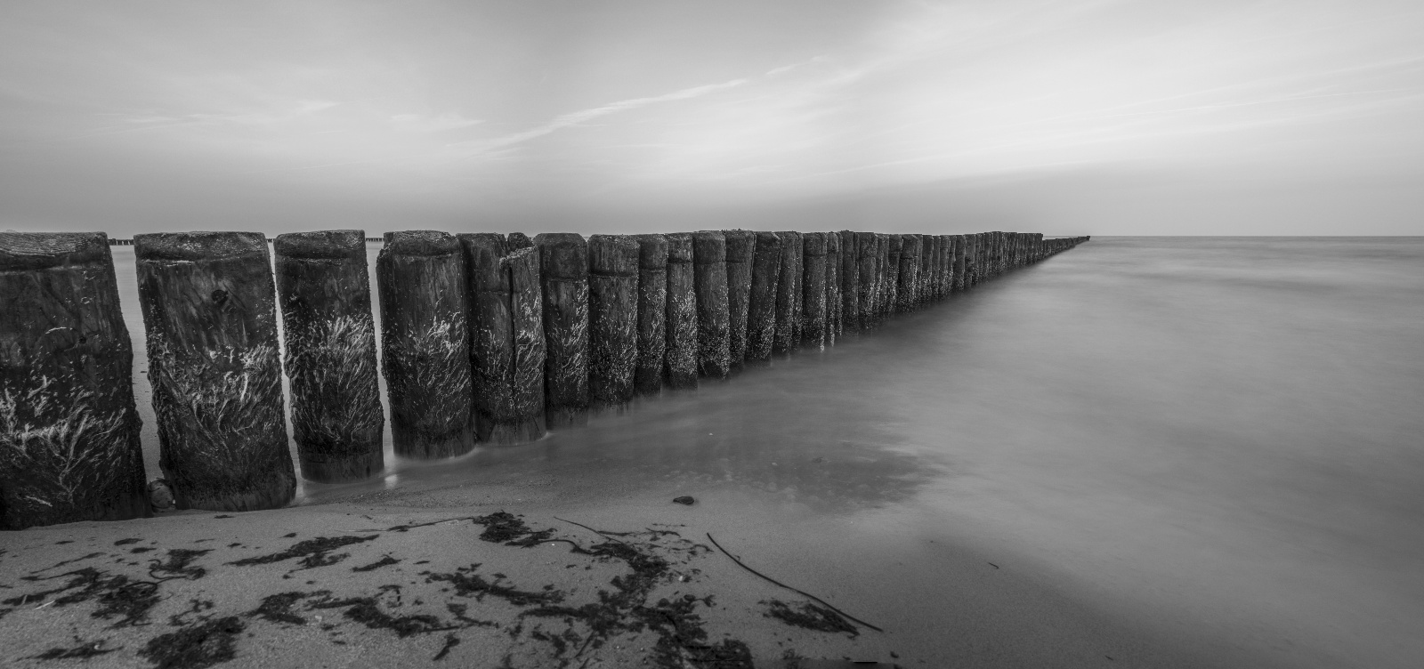 [Group 11] 20131007 DSC00786 20131007 DSC00788 3 images 0000